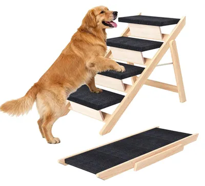 Immagine prodotto di Scala per cani 2 in 1, rampa per cani, altezza 66 cm, 4 gradini, pieghevole, antiscivolo, portatile, portata massima 80 kg