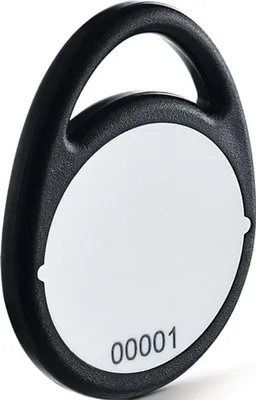 Image de Système de contrôle d'accès porte-clés. MIFARE DESFireEV2 noir Transpondeur RFID