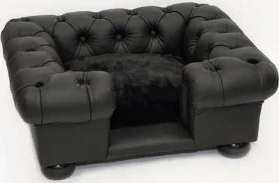 Produktbild von Casa Padrino Luxus Chesterfield Leder Hundebett Schwarz 95 x 75 x H. 37 cm - Rechteckiges Echtleder Hundebett - Chesterfield Tiermöbel - Luxus Tiermöbel - Leder Tiermöbel - Hundemöbel