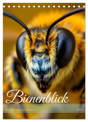 Produktbild von Bienenblick - Ein Jahr mit den Bienen (Tischkalender 2027 DIN A5 hoch), CALVENDO Monatskalender