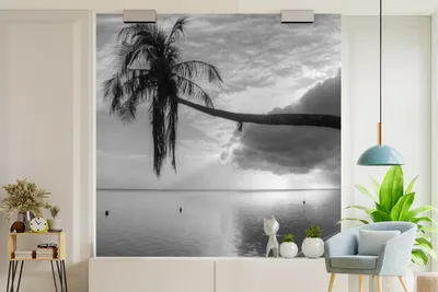 Produktbild von Fotobehang mit Palme im Strandmotiv in Schwarz-Weiß, 260 x 260 cm, Schwarz-Weiß, Leinwand