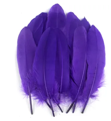 Produktbild von Violette Gänsefedern, 50 Stück, 15–20 cm für Hochzeitsdekorationen und Bastelarbeiten