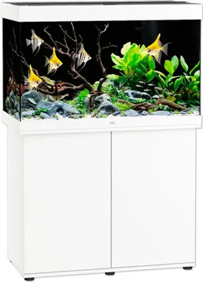 Produktbild von Aquariumkombination JUWEL Rio 290 SBX mit LED-Beleuchtung, Heizer, Filter und Unterschrank weiß ca. 101 x 51 x 146 cm, c