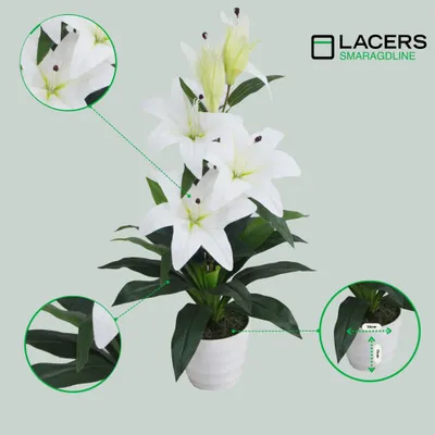 Produktbild von Lacers SMARAGDLINE künstliche Lilien weiß 65cm - Dekorative Kunstpflanze im Topf-lebendige Farben-wie echt wirkende Blätter & Blüten für ihr Zuhause