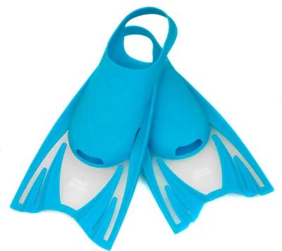 A pair of blue swim fins on a white background.