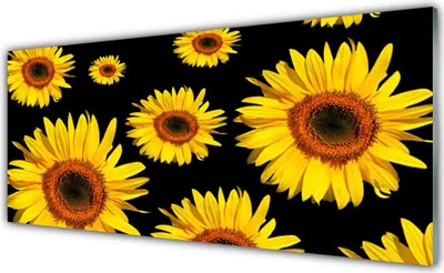 Produktbild von Küchenrückwand aus Glas 125x50cm Spritzschutz Sonnenblumen Pflanzen
