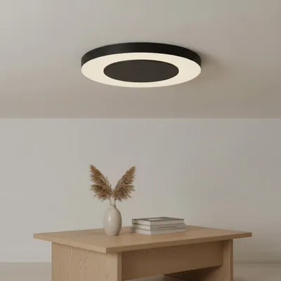 Productafbeelding van Plafondlamp Pada zwart Ø 60cm, AI-gegenereerde afbeelding