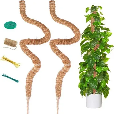Produktbild von Famanu Pflanzenstütze Halbrund Kokos Moosstock 120 cm für Monstera - Flexibel und Handgemacht