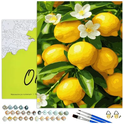 Produktbild von Malen nach Zahlen Erwachsene Zitronenzweig mit Blüten mit Rahmen 40x50 cm