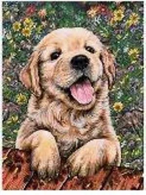 Zdjęcie produktu dla Diamentowa mozaika: Labrador, szczeniak, 30x40 cm. Kreatywne diamenty