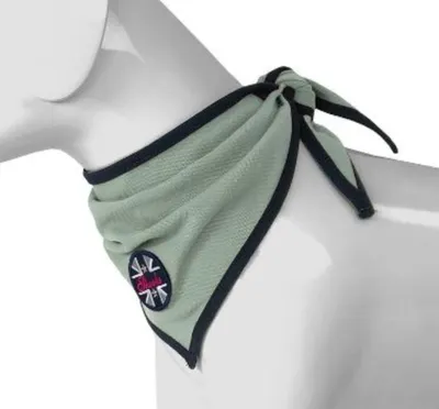 Produktbild von Spooks Dog Bandana Hundehalstuch dusty green FS 2021, Größe:S