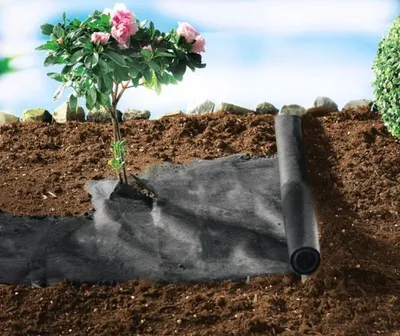 A roll of black landscape fabric is partially unrolled on brown soil next to a small plant with pink flowers. Rocks and greenery are visible in the background.