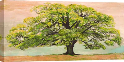 Image de Peinture sur toile avec arbre - Jan Eelder - Chêne vert - 100x50 cm