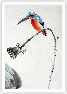 Produktbild von Poster - Poster ohne Rahmen - Libelle Vogel Blume - 70x100 cm - Wand Bild - Wanddeko - Wandbilder - Kunstposter - Wandposter - Bilder - Kunstdruck - Wanddekoration - Wandbild - P2XPA70x100-4361