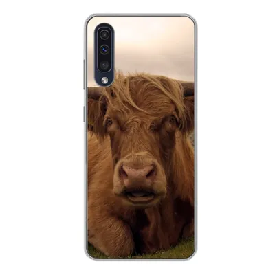 Produktbild von MuchoWow® Handyhülle Schutzhülle Hülle für Samsung Galaxy A50 Schottischer Highlander - Tiere - Berg Silikon Softcase Handy Hülle - Mobiltelefonhülle