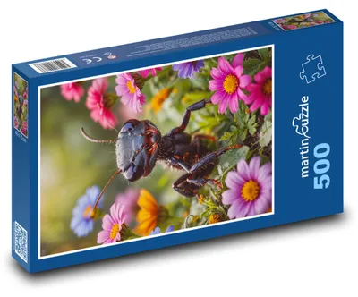 Obrázok produktu pre Puzzle 500 Mravec medzi kvetmi - martinpuzzle