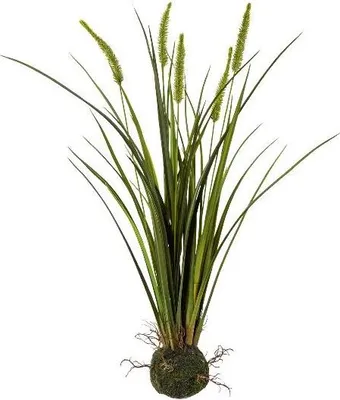 Produktbild von artplants.de Künstlicher Chinaschilf MILNO, Erdball, Rispen, Wurzeln, grün, 65cm - Künstliches Schilfgras