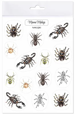 Obrázok produktu pre Nálepky pavúkovce – realistické ilustrácie zvierat