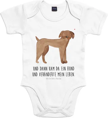 Produktbild von Mr. & Mrs. Panda Strampler Baby Hund Dogge 3. - 6. Monat - Heather Grey - Geschenk, Babybody, Herz, overall, Hunde, Deutsche, Sprüche, body kurzarm, Kurzarmbody