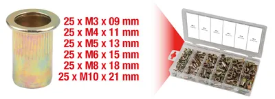 Zdjęcie produktu dla KS TOOLS Sortiment Gewindenieten, Stahl, M3x9mm-M10x21mm, 150-tlg. (970.0610)