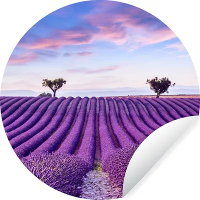 Produktbild von MuchoWow® Runde Wandtattoo - Wandsticker Tapete Aufkleber Lavendel - Natur - Lila - Bäume - Blumen Ø 100 cm Selbstklebend und Repositionierbar - Wandaufkleber - Kreis - Tapetenkreis - Wandbild rund - Schlafzimmerdekoration - Wanddeko - runde Tapete - Kunst für zu Hause