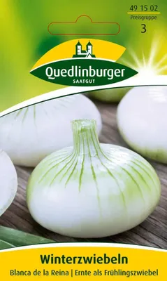 Produktbild von Quedlinburger Saatgut - Winter-Zwiebeln Blanca de la - Samen - 491502