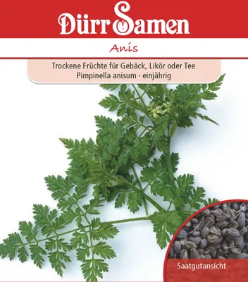 Artikelbild 1 von 'Anis' aus der Kategorie Anissamen