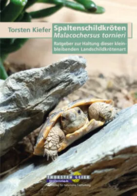 Obrázek produktu pro Spaltenschildkröten Malacochersus tornieri