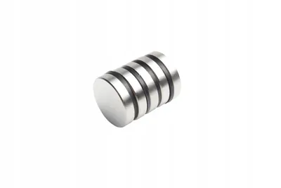 Immagine prodotto di Magnete al neodimio cilindrico 40x8 mm N42 1 pezzo