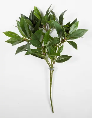 Produktbild von artplants.de Deko Lorbeerkirschzweig KAMIRAN, 70 Blätter, grün, schwer entflammbar, 45cm - Zweig künstlich - Kunstpflanze
