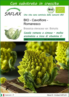 Immagine prodotto di SAFLAX  -- Cavolfiore - Romanesco - 50 semi - Con substrato - Brassica
