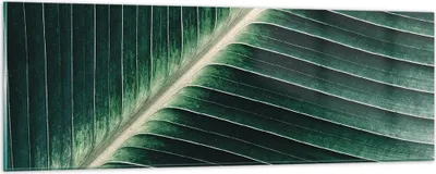 Produktbild von Bilder auf glas - Einteilig - Grün Blatt Tropisch - 90x30cm - Glasbilder - Wandbilder - Bilder - zum Aufhängen bereit - Wanddekoration aus Glas - Glas Bilder - Wandbild auf Glas - GAB90x30-4126