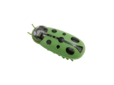 Image de MAMIS Robo scarabée - coccinelle (verte)