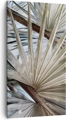 Produktbild von Bild auf Leinwand - Leinwandbild - Einteilig - Blatt Palme Natur - 45x80cm - Wand Bild - Wanddeko - Wandbilder - Leinwanddruck - Bilder - Wanddekoration - Leinwand bilder - Wandbild - PA45x80-5056