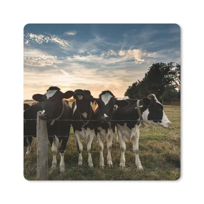 Produktbild von MuchoWow® Mauspad Mousepad Tiere - Kuh 20x20 cm - Mousepads - Maus Mat - Pad - Mausunterlage - Desk Mat - Bureauartikeln