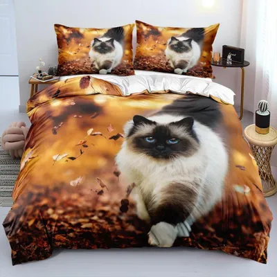 Obrázek produktu pro Sada povlečení 200x220 cm, 3D motiv kočky, bílá, mikrovlákno, 3dílná, se zipem