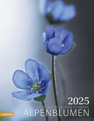 Produktbild von Alpenblumen Kalender 2025