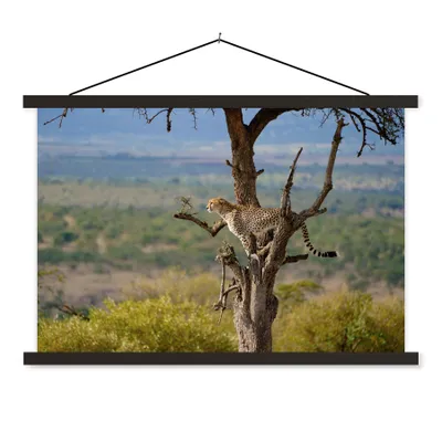 Produktbild von MuchoWow® Textilposter Leopard - Baum - Tier 60x40 cm mit schwarzem Rahmen - Hölzernes