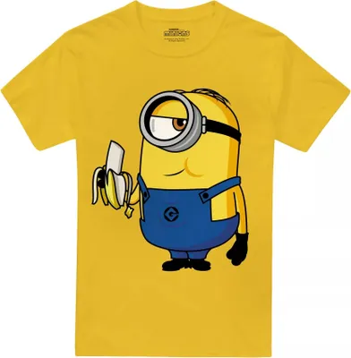 Produktbild von Minions - T-Shirt für Herren TV2732 (M) (Gänseblümchen-Gelb)