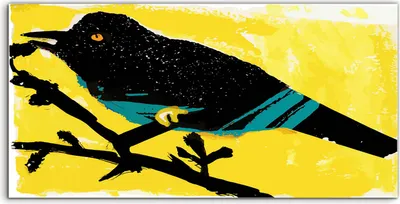 Produktbild von Coloray Glasbild 140x70  Wandbild Glasbilder schwarzer Vogel mit blauen Streifen