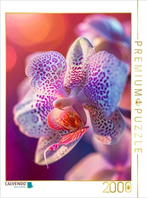 Produktbild von CALVENDO Puzzle Blick der Phalleanopsis | 2000 Teile Lege-Größe 90x67cm Foto-Puzzle für glückliche Stunden