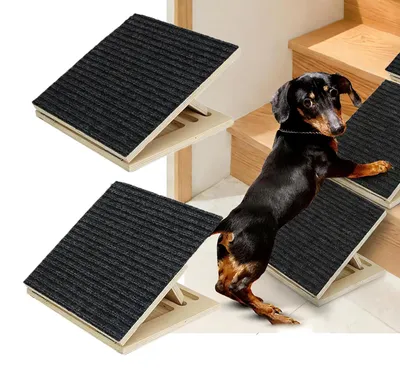 Immagine prodotto di Omgoods - Scala per cani con superficie antiscivolo, ideale per cani di piccola e media taglia