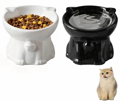 Immagine prodotto di Set di 2 ciotole rialzate per gatti e piccoli cani