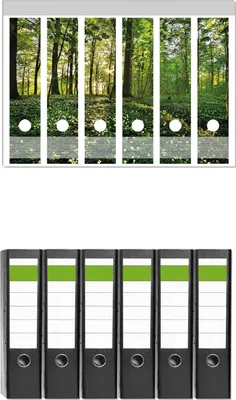 Produktbild von Wallario 6 Stück breite Ordner inkl. Klebeetiketten mit Motive Waldanemonen und Sonnenstrahlen im Wald -  Set mit Rückenschildern / Ordnerrücken Stickern