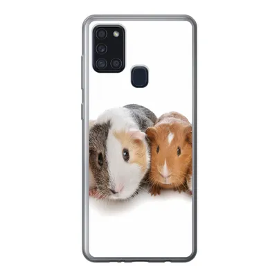 Produktbild von MuchoWow® Handyhülle Schutzhülle Hülle für Samsung Galaxy A21s Fünf Meerschweinchen Silikon Softcase Handy Hülle - Hartschale