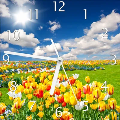 Produktbild von Wallario Design Wanduhr Tulpenwiese unter blauem Himmel aus Echtglas, Größe 20 x 20 cm