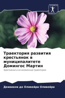 Produktbild von Traektoriq razwitiq krest'qnok w municipalitete Domingos Martin