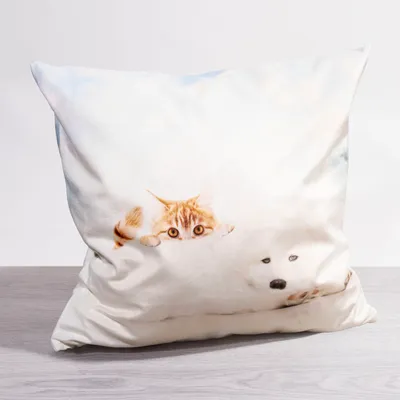 Produktbild von Kissen Deko beige Kätzchen und Welpe 40x40 Polyester kissenbezug Dekokissen