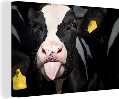 Produktbild von OneMillionCanvasses® - Leinwandbilder - 140x90 cm, Kuh - Licht - Porträt, Wandbilder Kunstdruck Wanddekoration
