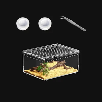 Zdjęcie produktu dla Terrarium dla gadów, 20 x 15 x 10 cm, zestaw startowy, przeznaczone dla pająków i jaszczurek